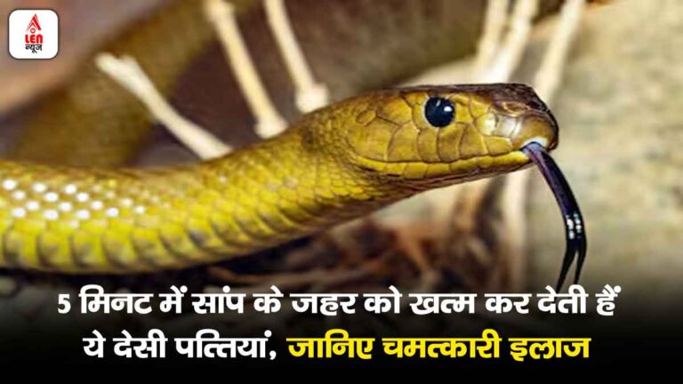 Snakebite treatment, सांप का जहर, देसी पत्तियां, Snakebite remedy