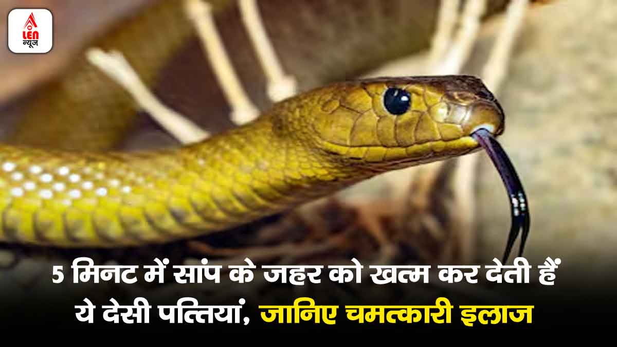Snakebite treatment, सांप का जहर, देसी पत्तियां, Snakebite remedy