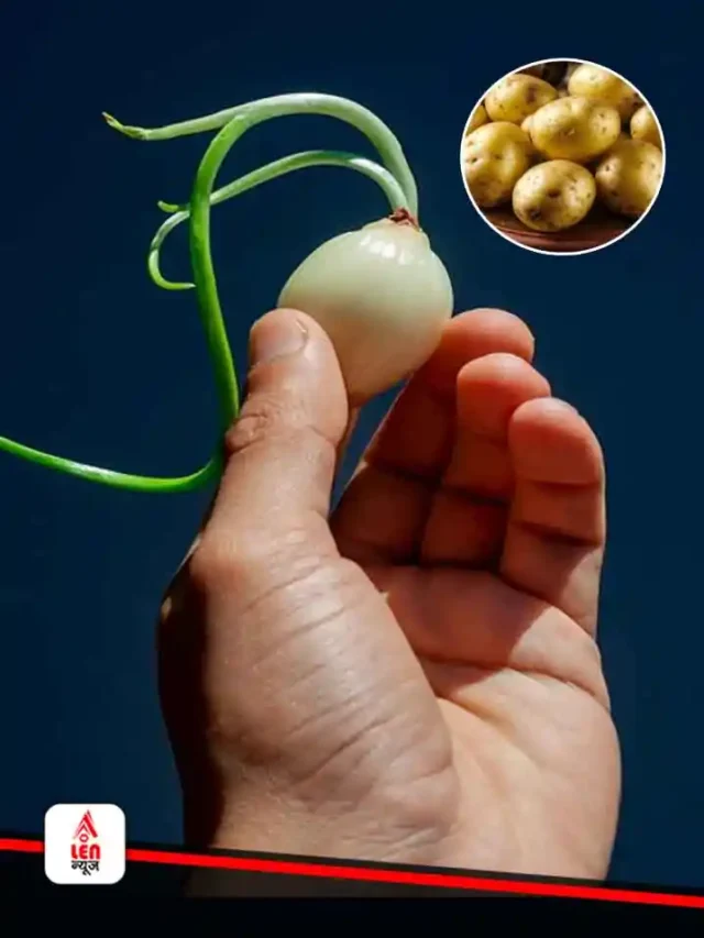 Onion potato storage tips (1)